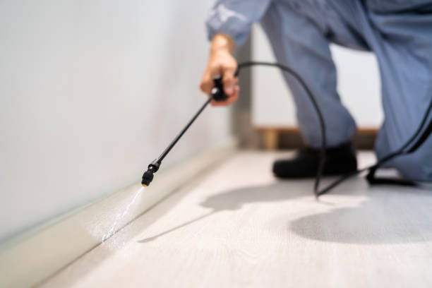 Licensed Mosquito Control service in Shamrock, TX - Show Me Pest Control