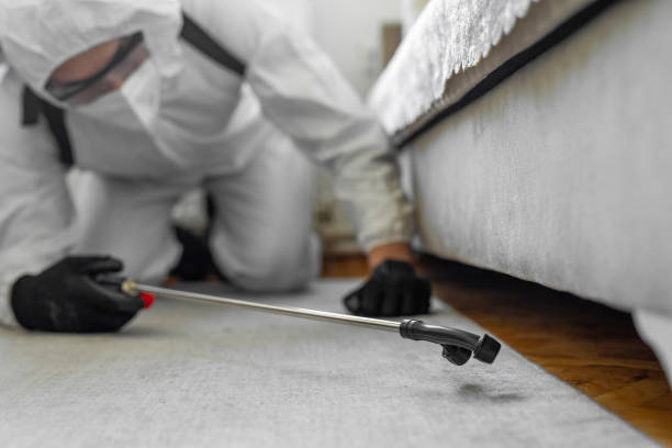 Professional Ant Control technician working in Shamrock, TX