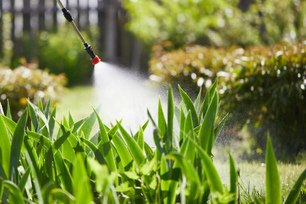 24/7 Emergency Mosquito Control experts in Shamrock, TX