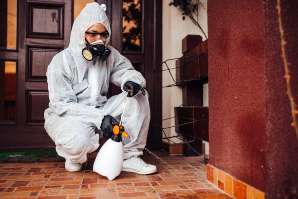 Reliable Mosquito Control contractor in Shamrock, TX by Show Me Pest Control